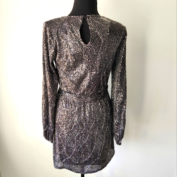 Metallic Sequin Mini Dress - Picture 10 of 13